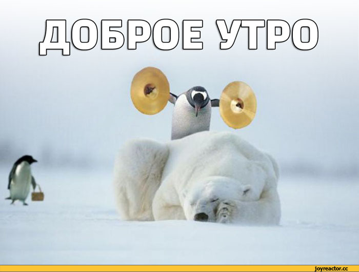 доброе-утро-подъем-Доброго-утра-песочница-996189.jpeg