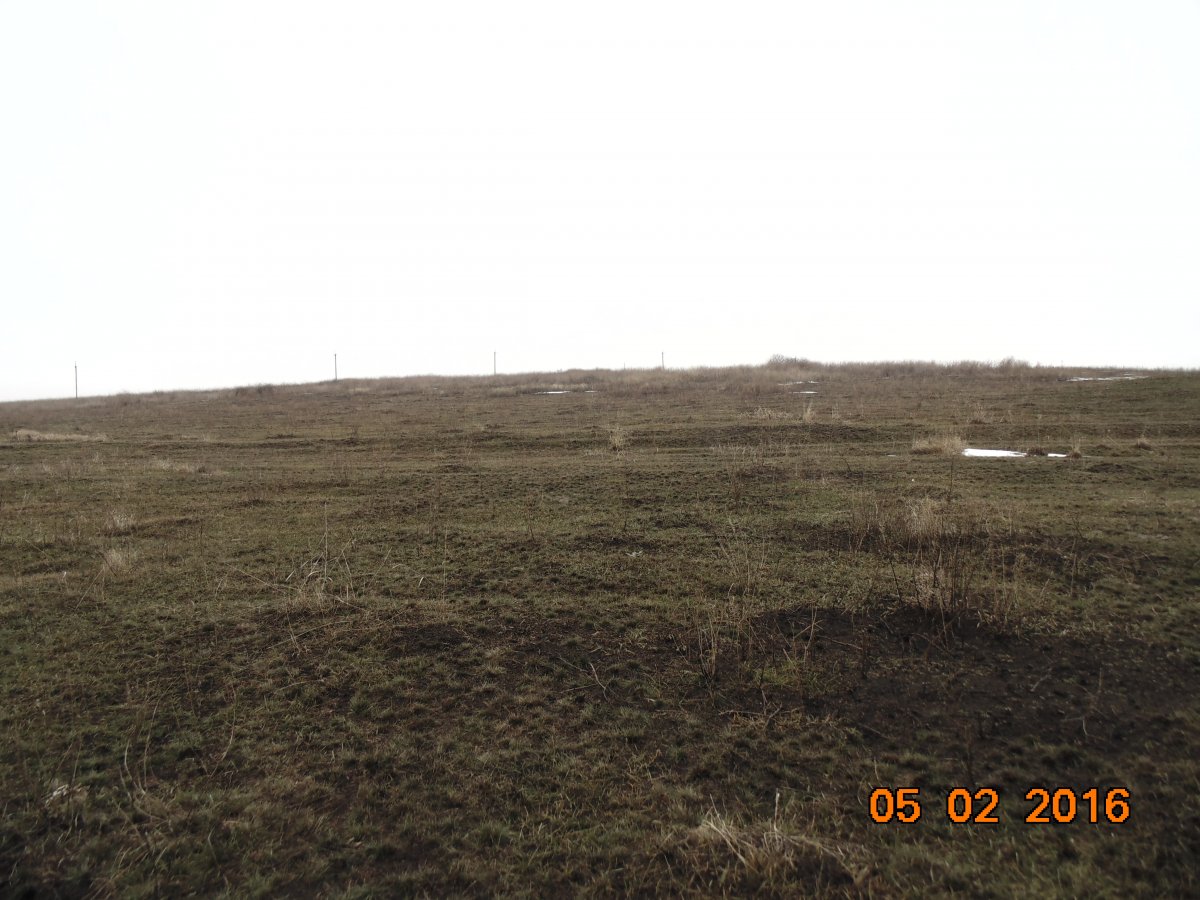 DSC00069.JPG
