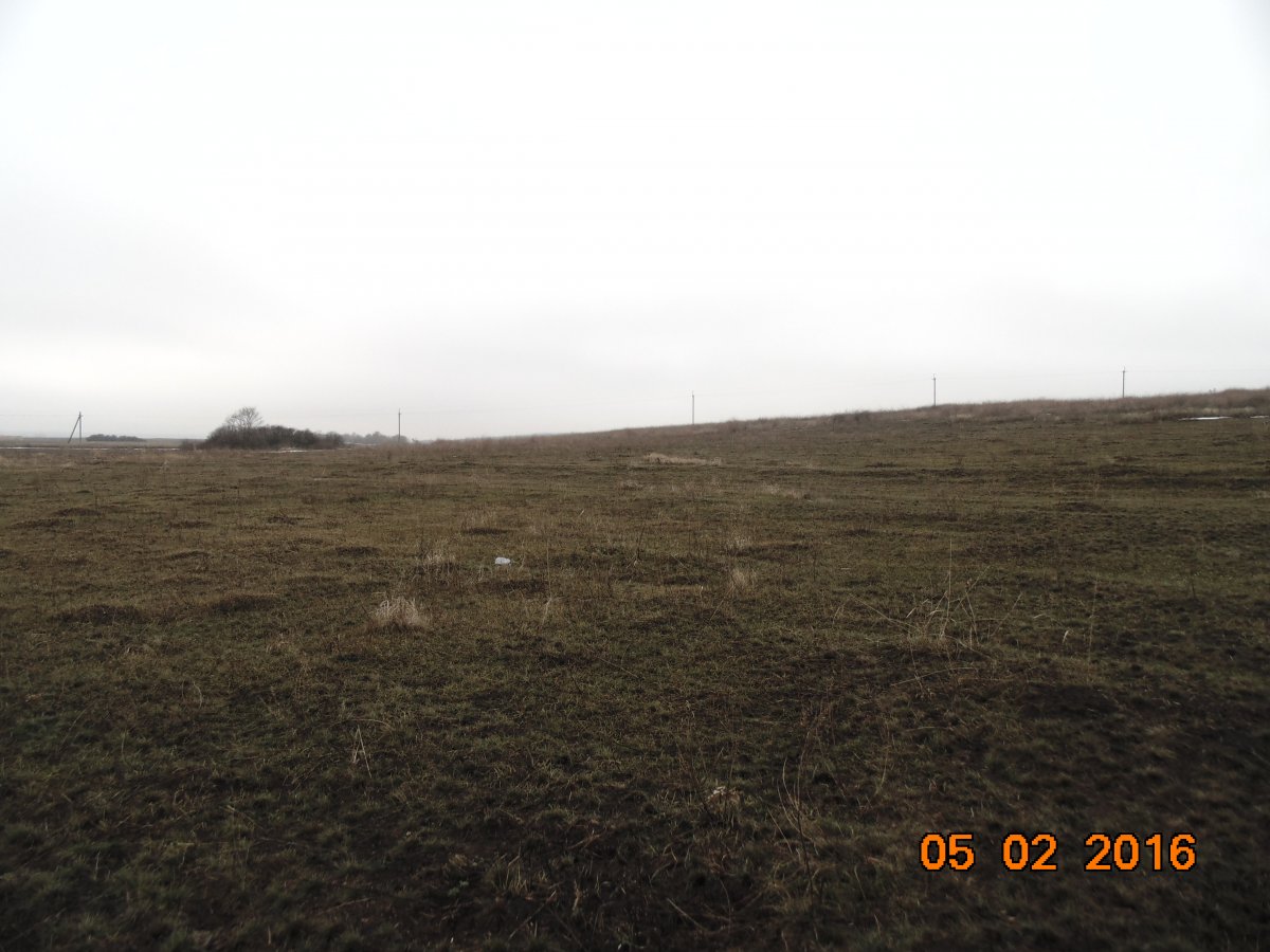DSC00070.JPG