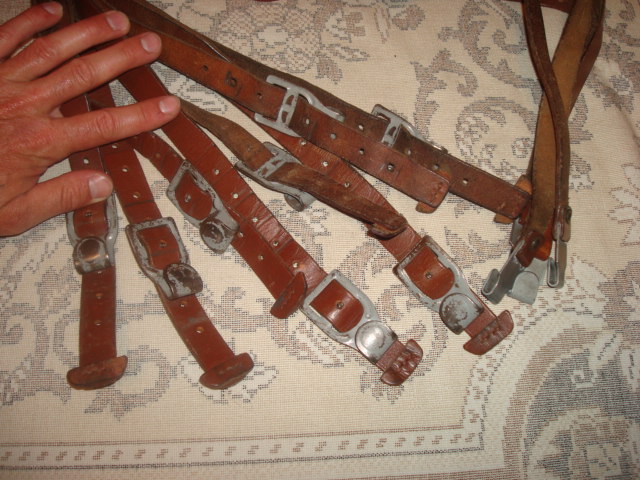 DSC00072.JPG