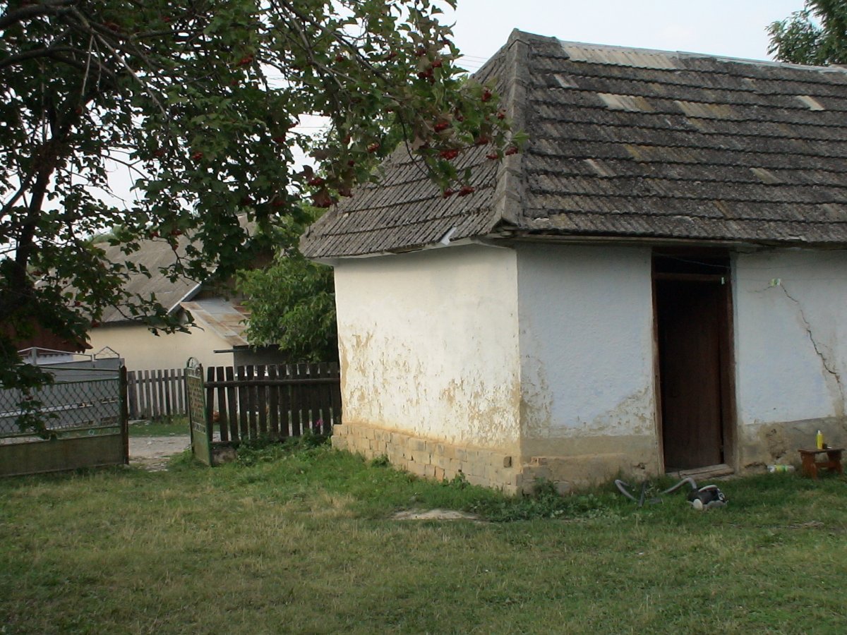 DSC00115.JPG