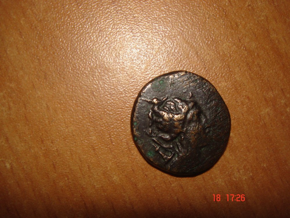 DSC00125.JPG
