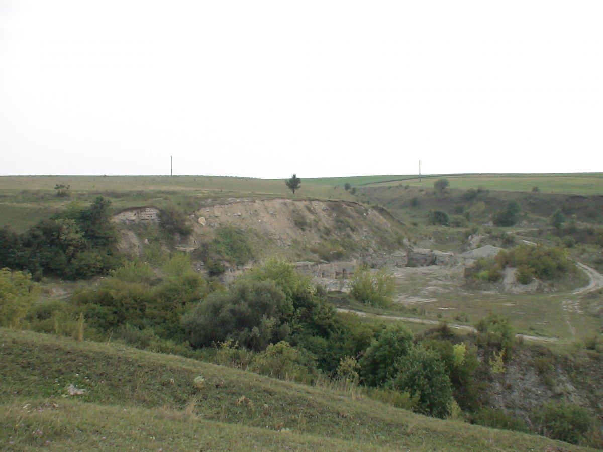 DSC00127.JPG