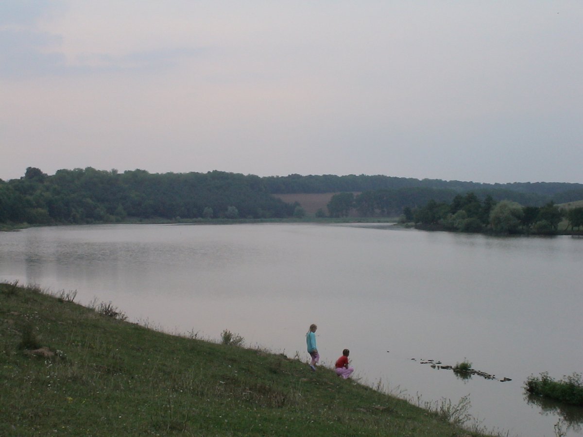 DSC00134.JPG