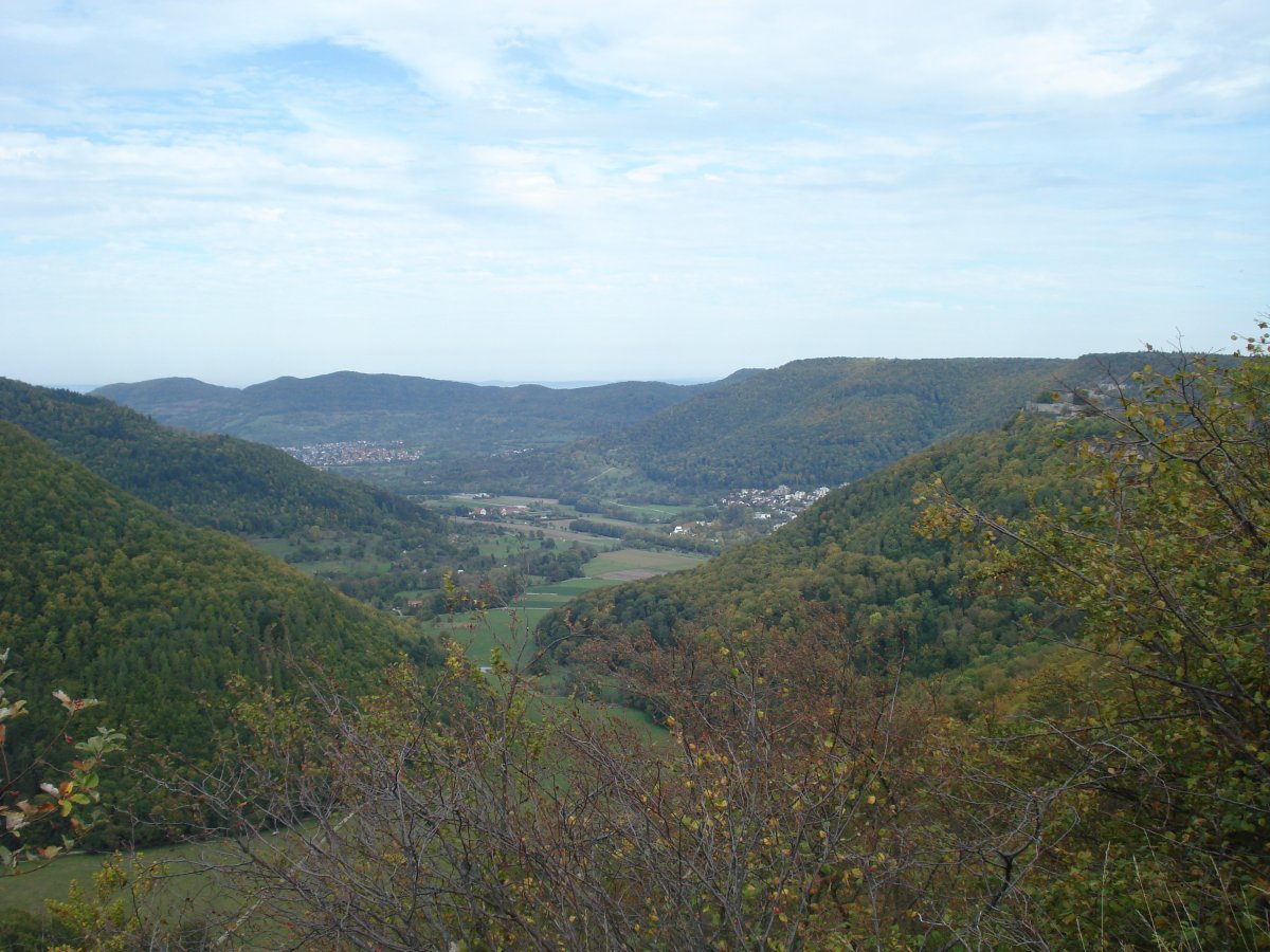 DSC00329.JPG