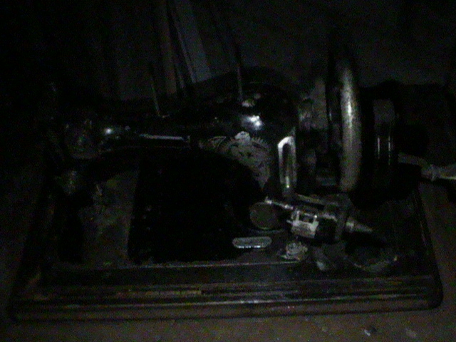 DSC00350.JPG