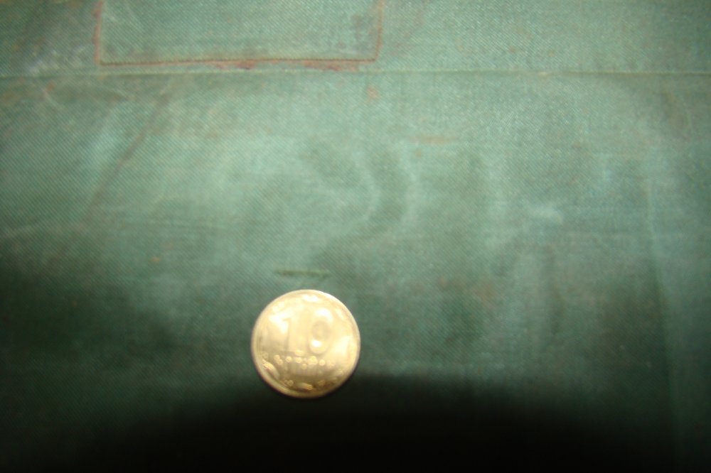 DSC00352.JPG