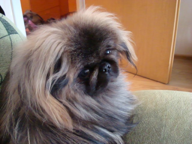 DSC00710.jpg
