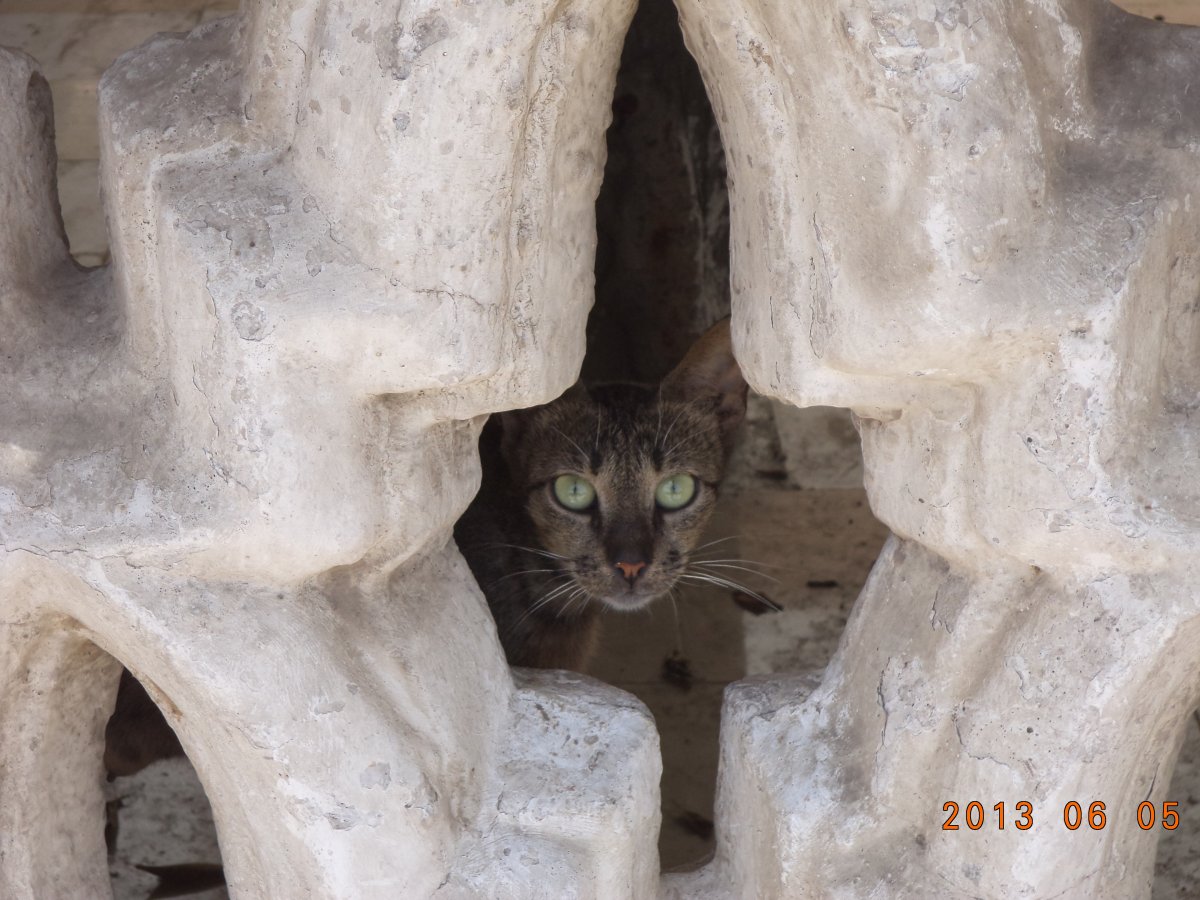 DSC00823.JPG