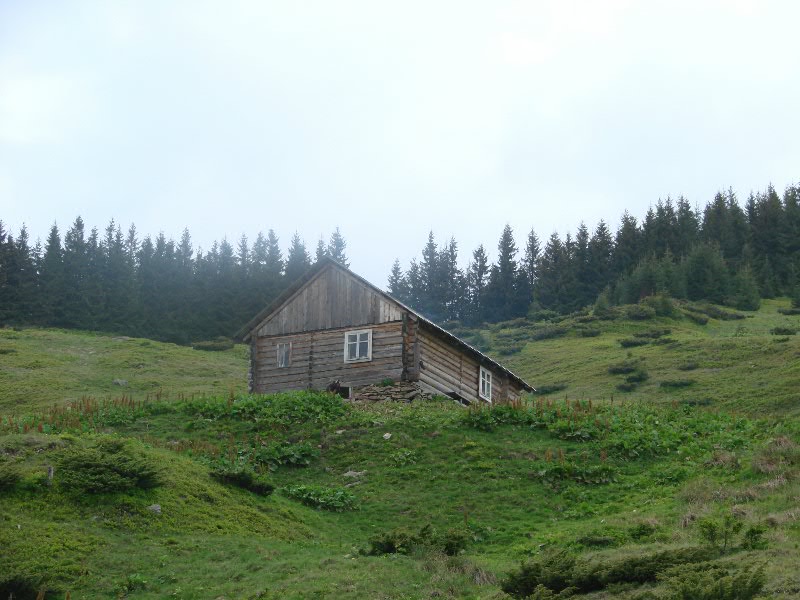 DSC01029.JPG