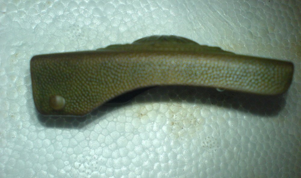 DSC01124.JPG