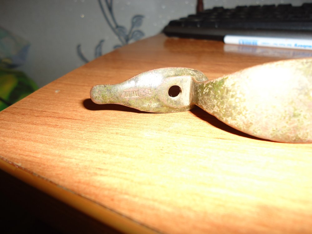 DSC01236.JPG