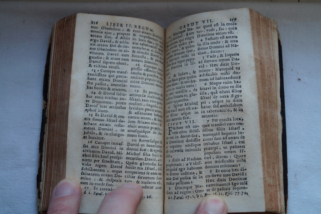 DSC01262.JPG