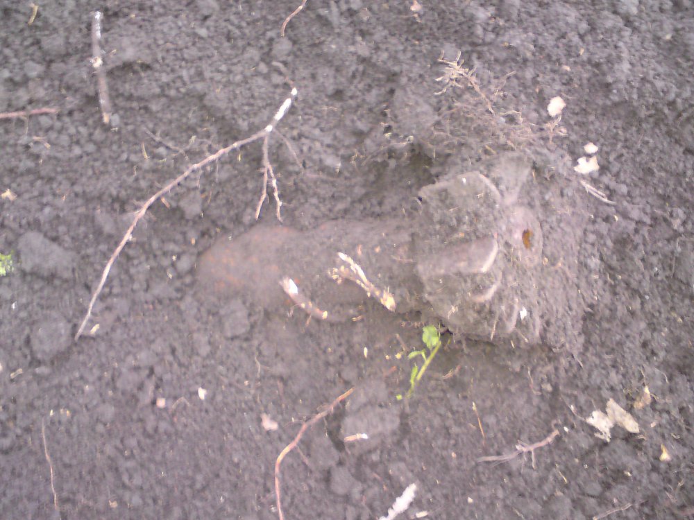DSC01443.JPG