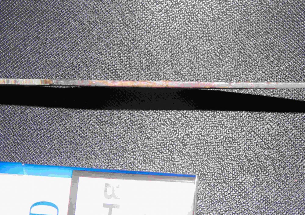 DSC01836.JPG