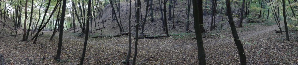 DSC01973.JPG