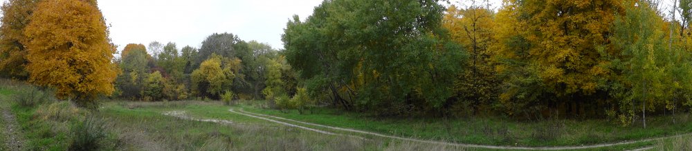 DSC02019.JPG