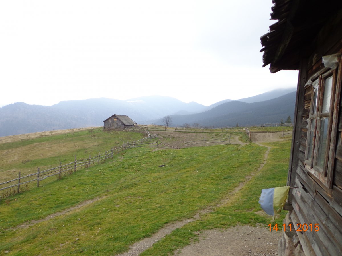DSC02043.JPG