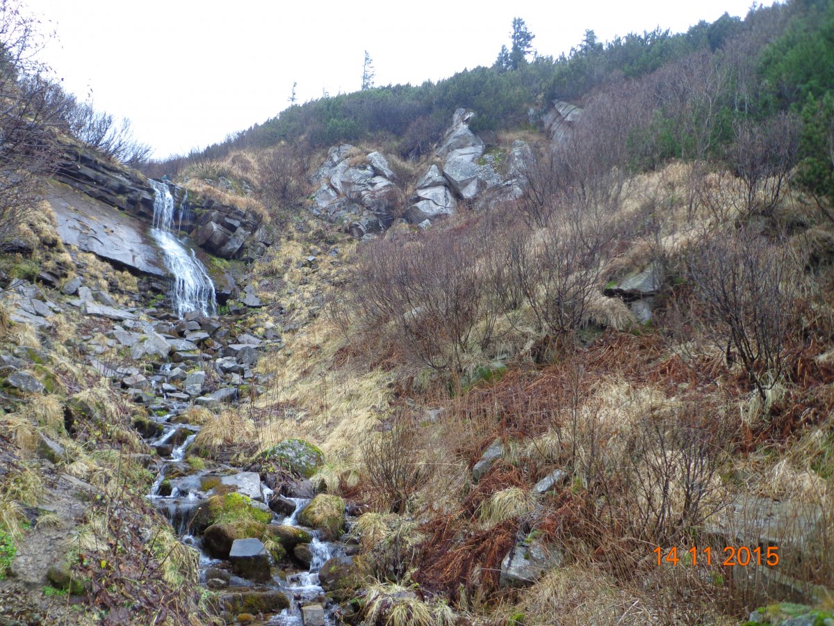 DSC02074.JPG