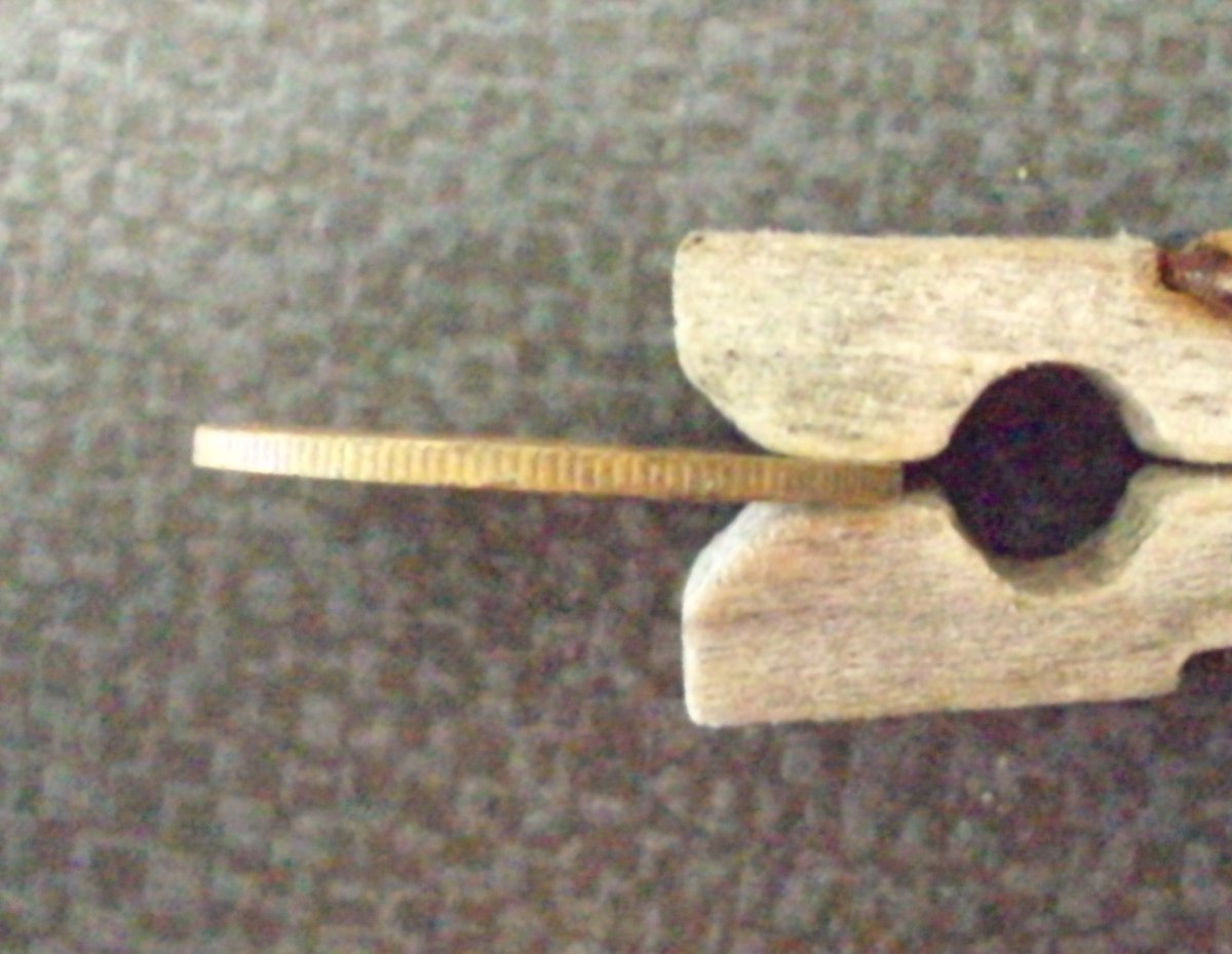 DSC02293.JPG
