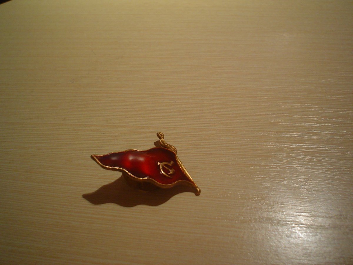 DSC02370.JPG