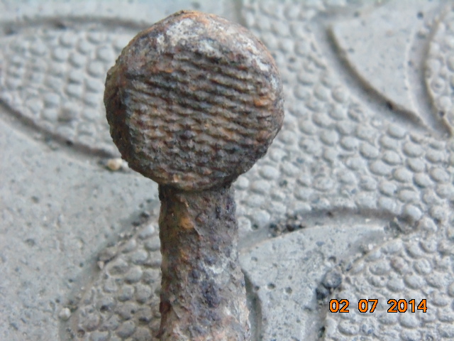 DSC02600.JPG