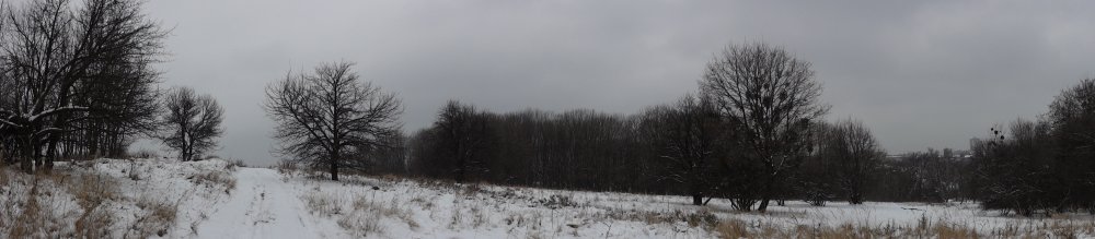 DSC02870.JPG