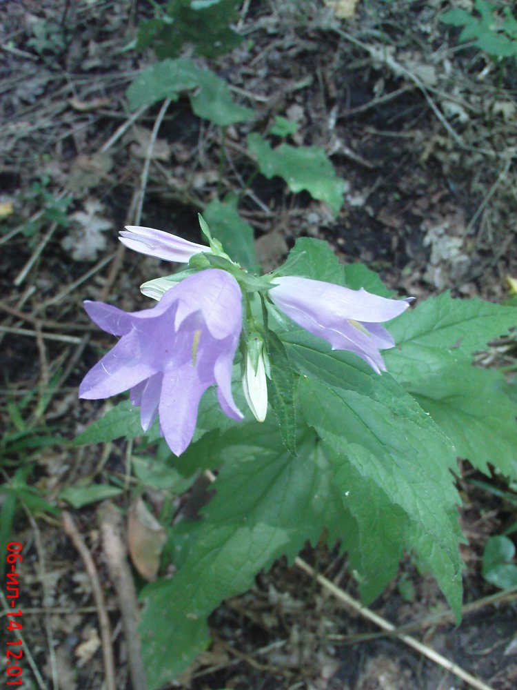 DSC03023.JPG