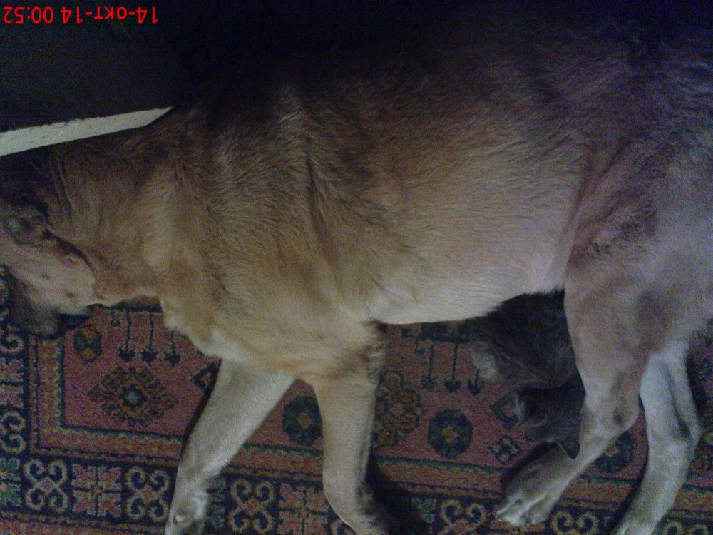 DSC03068.JPG