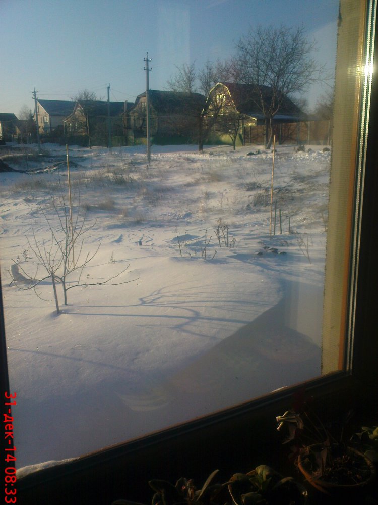 DSC03090.JPG