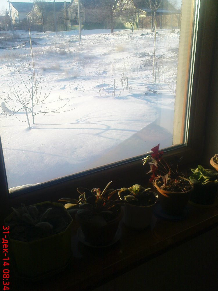 DSC03091.JPG