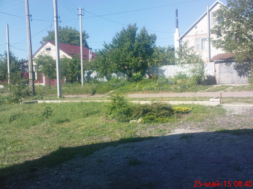 DSC03494.JPG