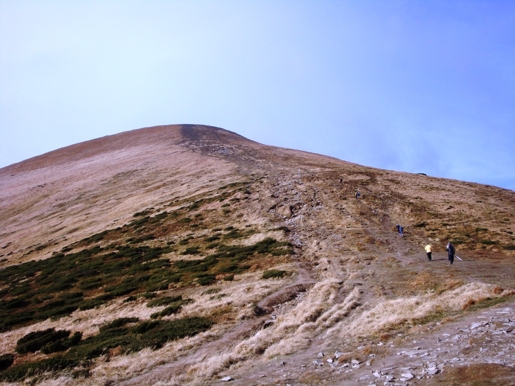DSC03585.JPG