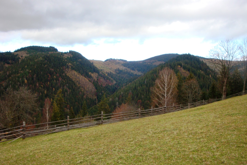 DSC03642.JPG