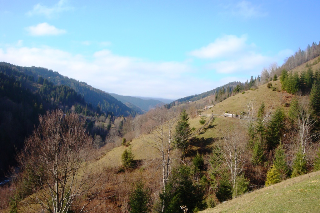DSC03699.JPG