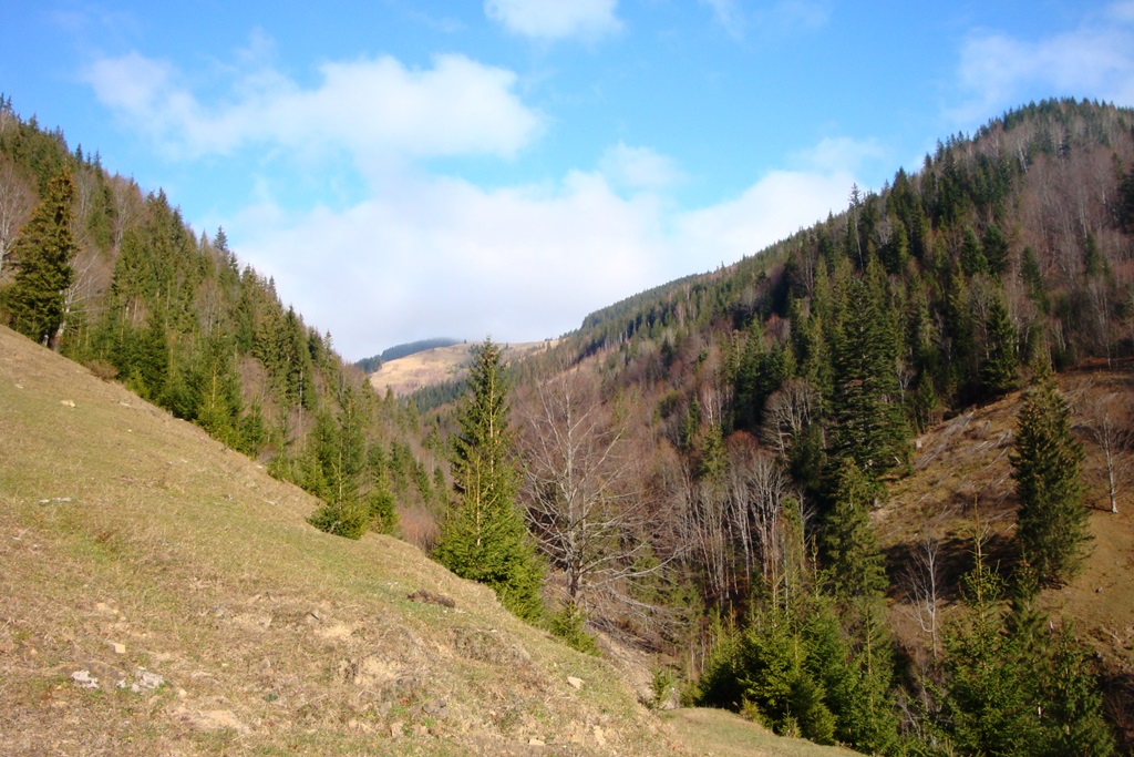 DSC03700.JPG