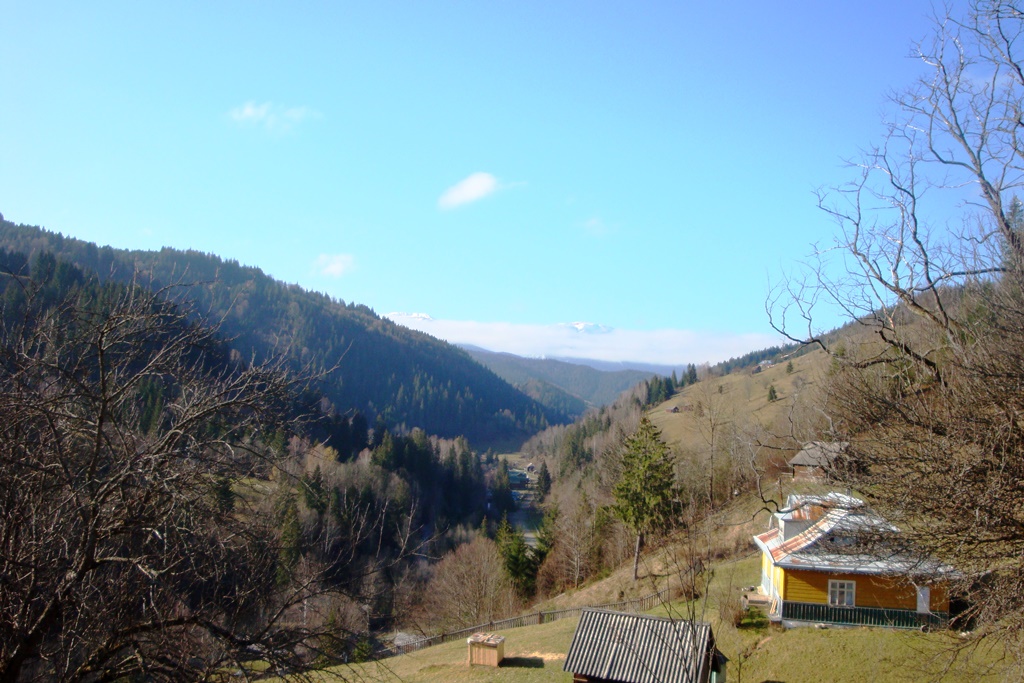 DSC03703.JPG
