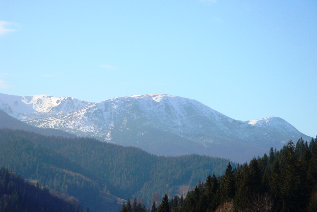 DSC03710.JPG