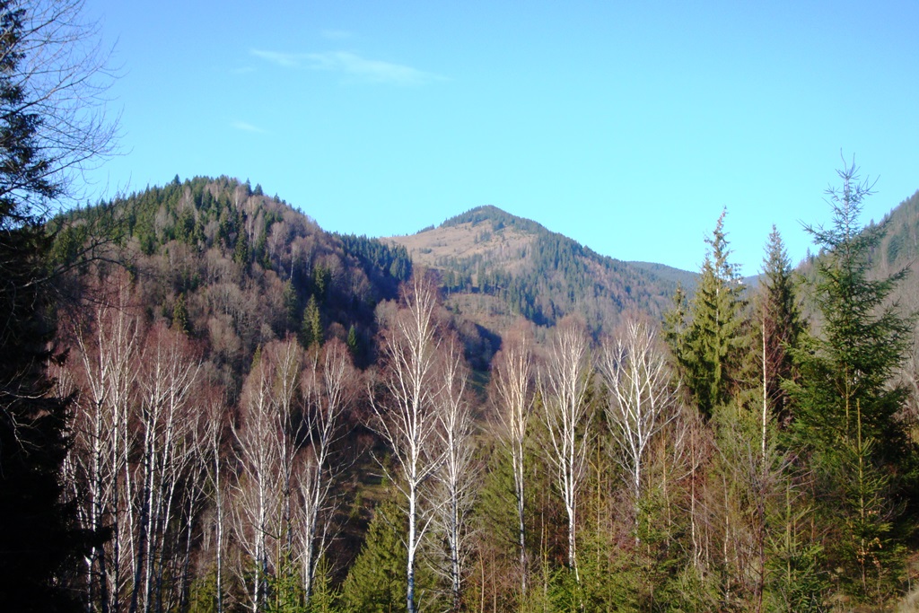 DSC03711.JPG