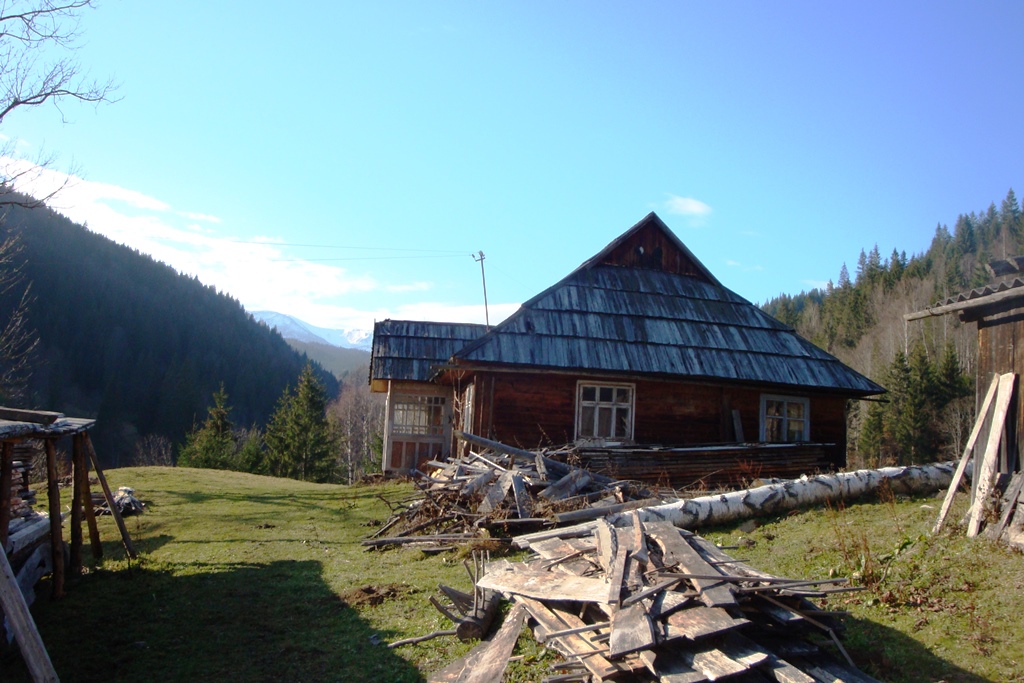DSC03712.JPG