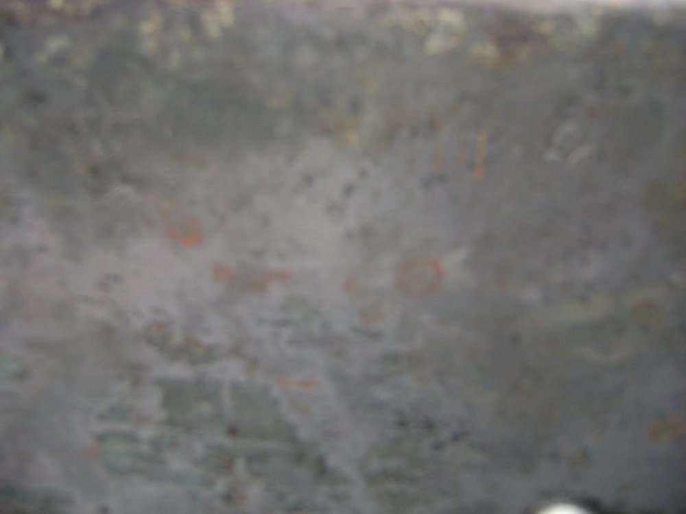 DSC03805.JPG