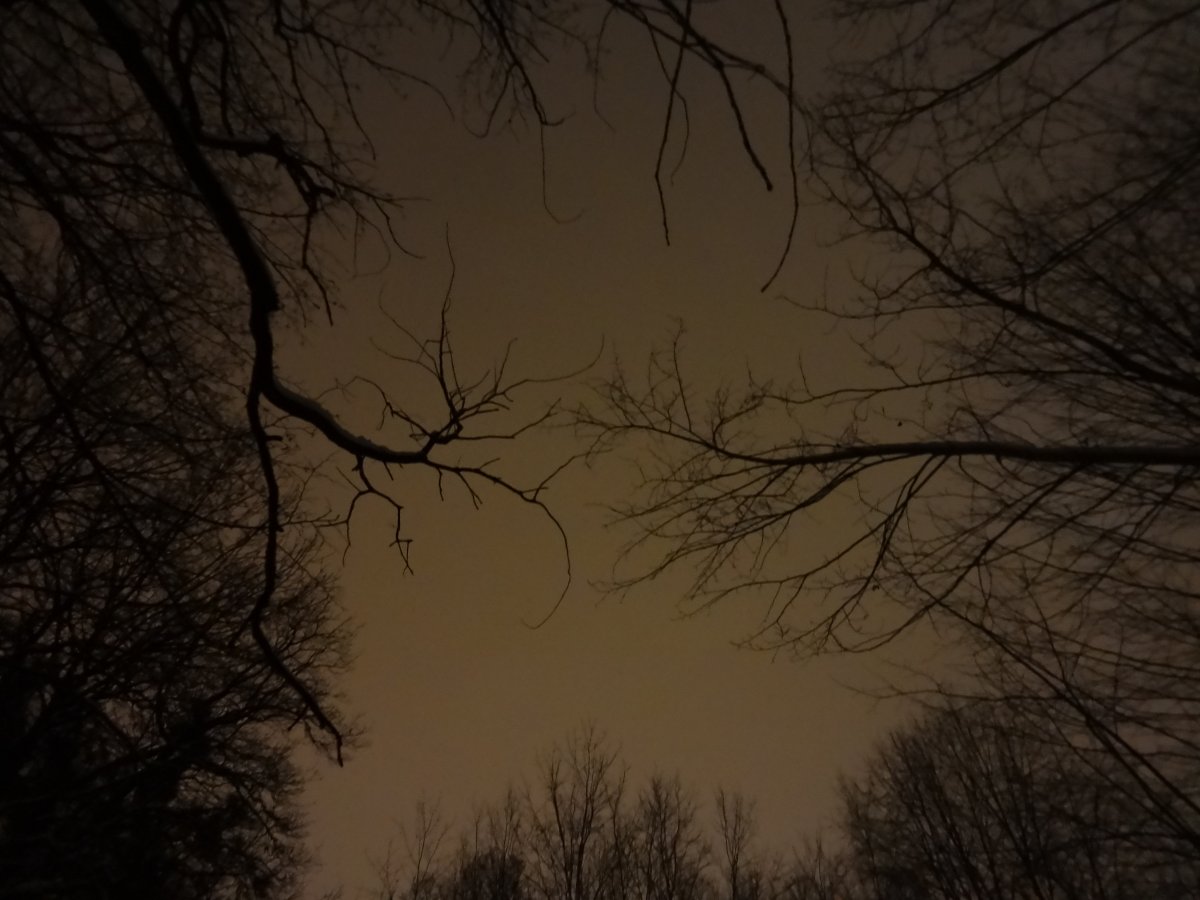 DSC04367.JPG