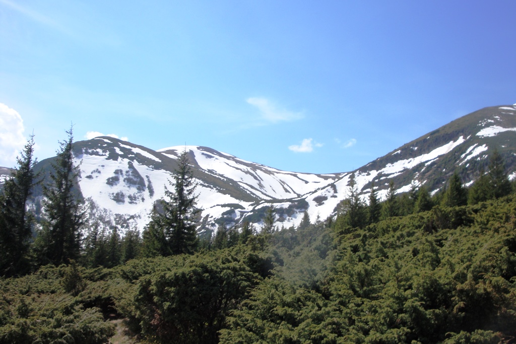 DSC04433.JPG