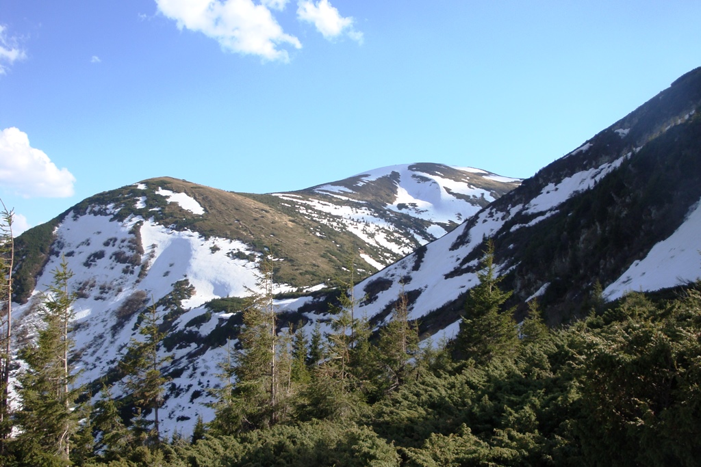 DSC04484.JPG