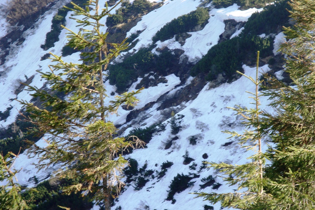 DSC04486.JPG