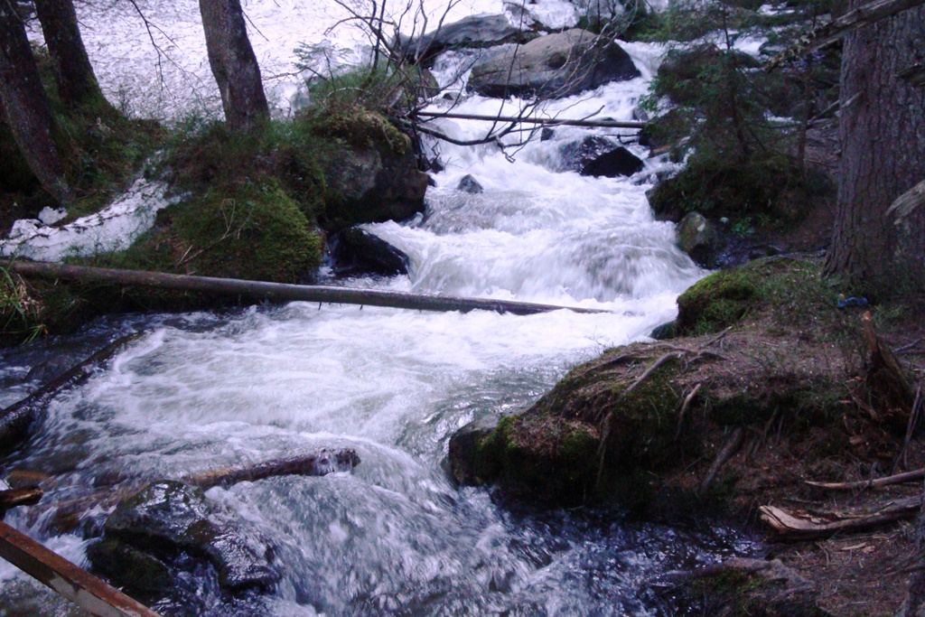 DSC04494.JPG