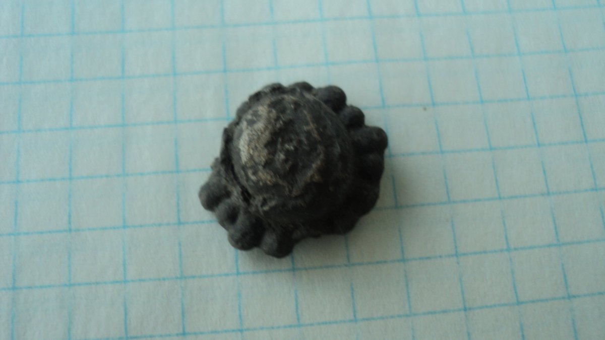DSC04553.JPG