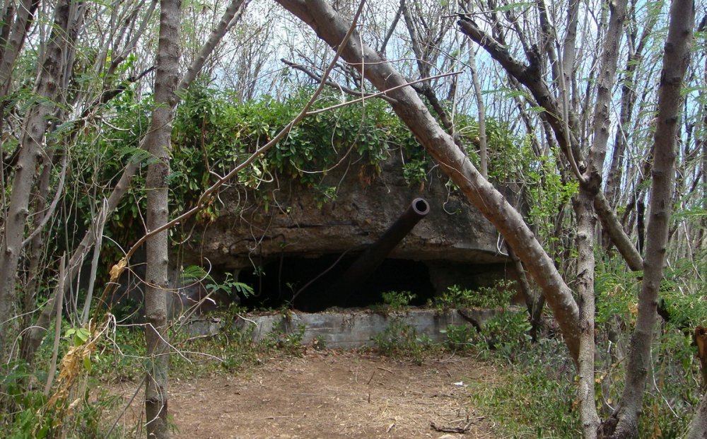 DSC05734.jpg