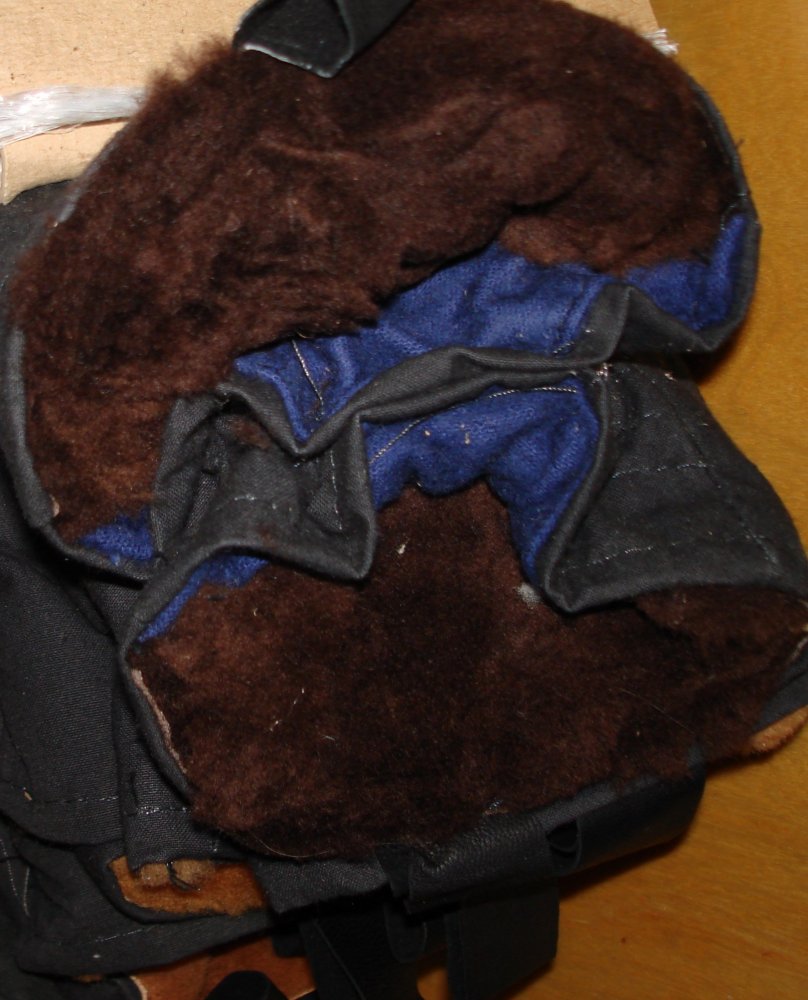 DSC05967.JPG