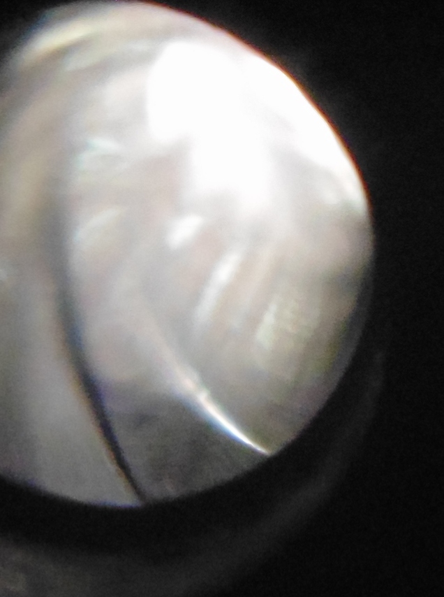 DSC06427.JPG